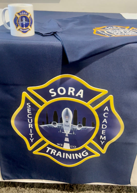 Sora Security Academy Training